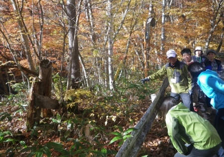 20141026 国立公園標識(旧)