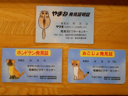 13年5月26日 尾瀬沼ビジターセンターより 尾瀬保護財団
