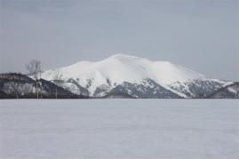 IMG_2804 (Medium)