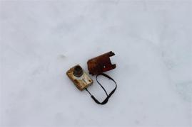 IMG_2993 (Medium)