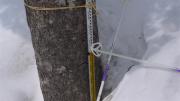 PL1150229 (中)