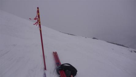 PF1030255 (中)