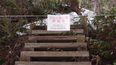 P1030412 (中)
