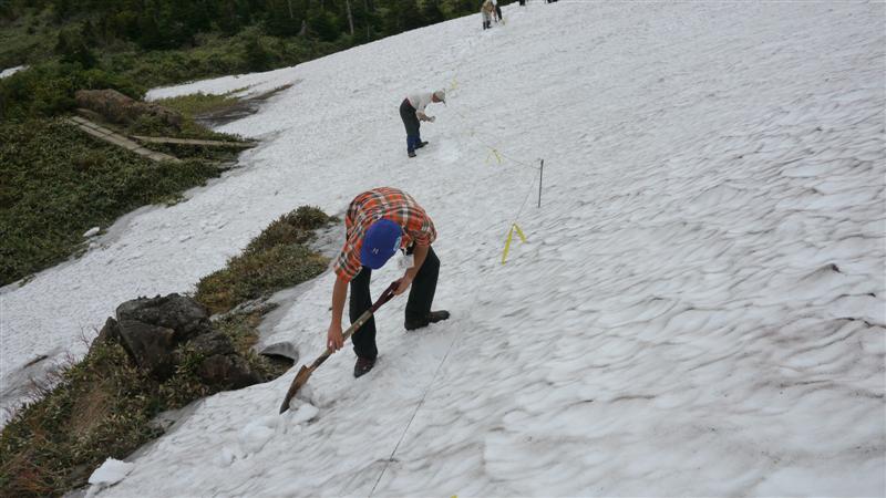至仏山開山前の除雪作業を行いました 尾瀬保護財団 至仏山開山前の除雪作業を行いました 尾瀬保護財団