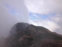 20121027至仏山保護柵撤去作業IMG_0940 (Large)