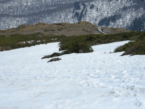 H27 至仏山残雪点検②－３／高天ヶ原雪なし