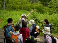 Intepretative nature programs