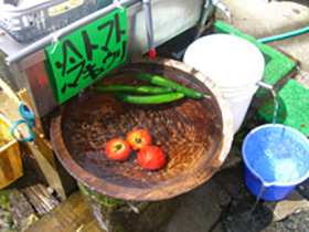 大清水の清冽な水が小屋前を流れる