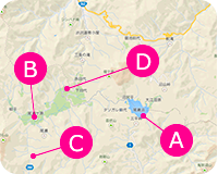 ライブカメラ