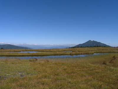 (湿原の向こうに山々を望む)