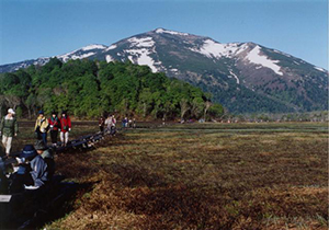 牛首付近木道より至仏山を望む