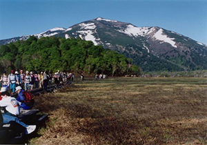 牛首付近木道より至仏山を望む
