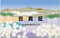 平成11年度 ワタスゲ