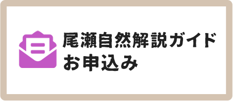 尾瀬自然開設ガイドお申し込み