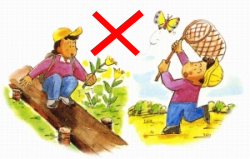 Do not remove animals or plants.