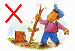 Do not remove animals or plants.