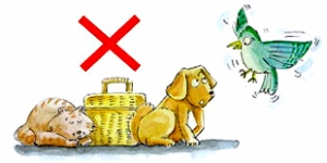 Do not bring pets.
