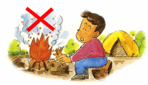Observe designated camping areas.
