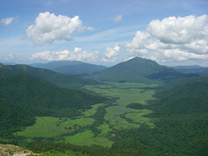 Oze area (Ozegahara Marsh)