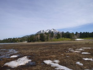 P1440332