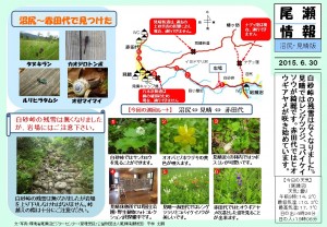 20150630 沼尻・見晴 (平林)