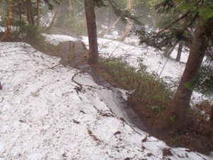 木道と雪