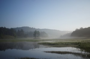 大江湿原