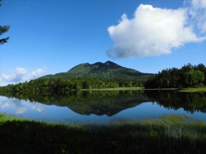 大江湿原6月20日 (4)_R