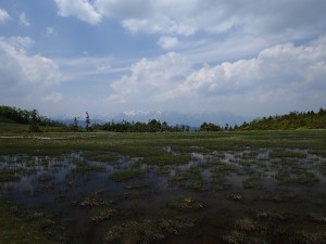 山頂の様子