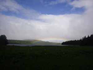 IMGP2873_R