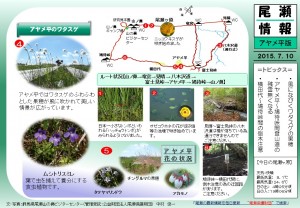 アヤメ平八木沢自然情報（中村）20150710-2