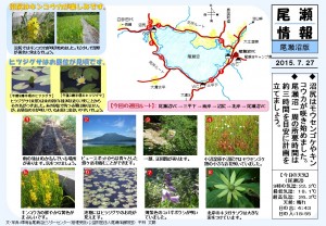 20150727尾瀬沼（平林）