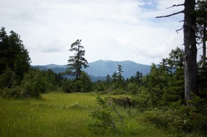 平ヶ岳