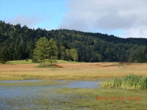 DSCN0508_R