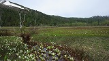 IMGP0687