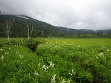 IMGP1838