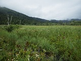 IMGP4505