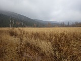 IMGP5617