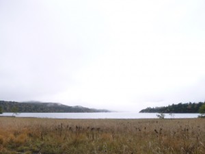 P1550903