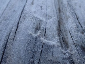 PA061092_R