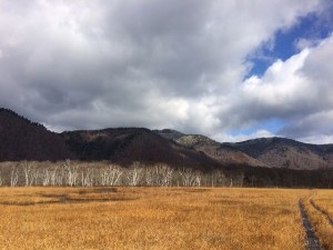 s-IMG_1612