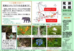 20160725裏燧林道（宇野）
