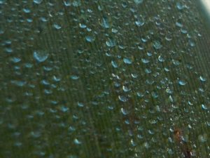 DSCN08431111_RR