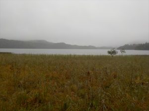 dscn1552_rr