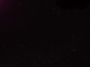 pa084756_rr