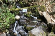 2018年5月23日-山の鼻ビジターセンターより(鳩待峠~山ノ鼻間の様子) 2018年5月23日-山の鼻ビジターセンターより(鳩待峠~山ノ鼻間の様子)