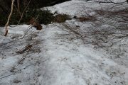 2019年5月20日ー山の鼻ビジターセンターより(雪どけの進む尾瀬ヶ原 ) 2019年5月20日ー山の鼻ビジターセンターより(雪どけの進む尾瀬ヶ原 )