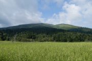 2019年8月18日ー山の鼻ビジターセンターより(植物研究見本園の様子) 2019年8月18日ー山の鼻ビジターセンターより(植物研究見本園の様子)