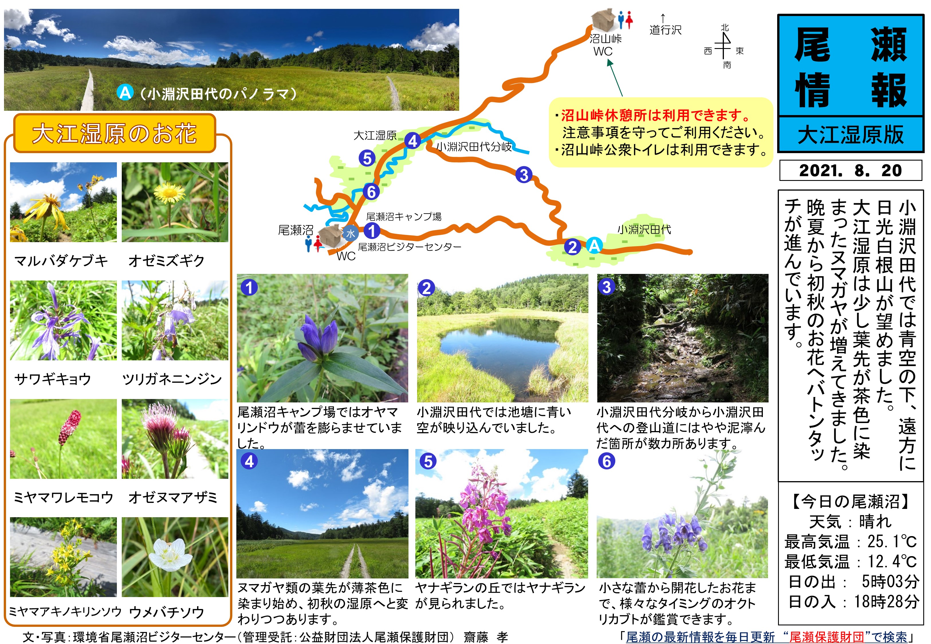 21年8月日 大江湿原の様子 尾瀬保護財団