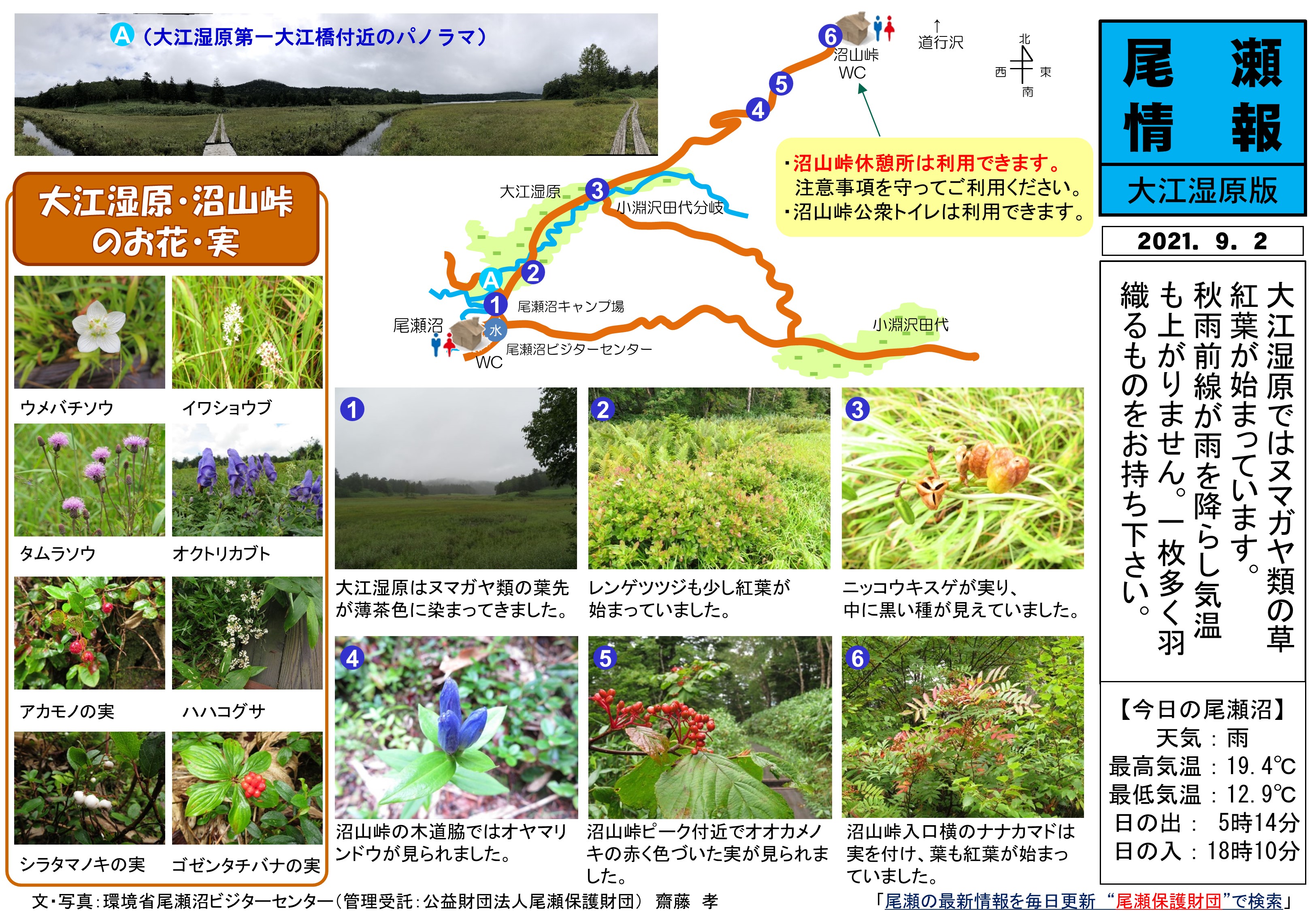 21年9月2日 大江湿原の様子 尾瀬保護財団